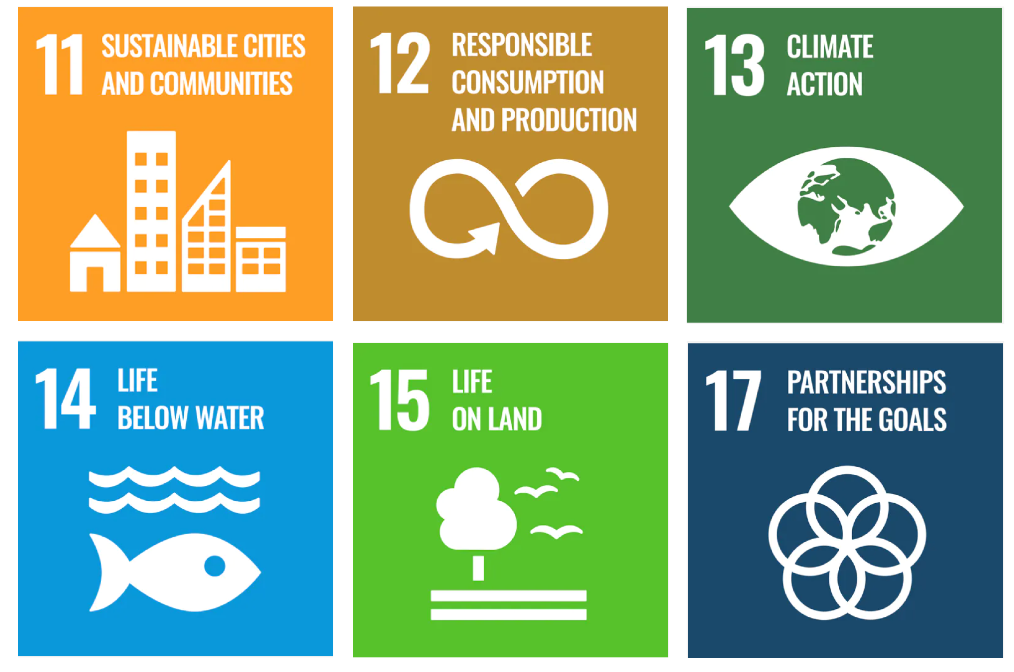 ELBA's contribution to the Sustainable Development Goals (SDGs)